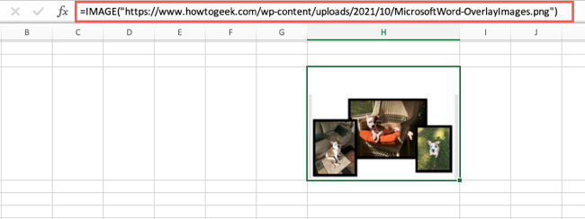 IMAGE function in Excel with no optional arguments