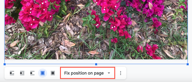 Fix Position on Page in the image toolbar