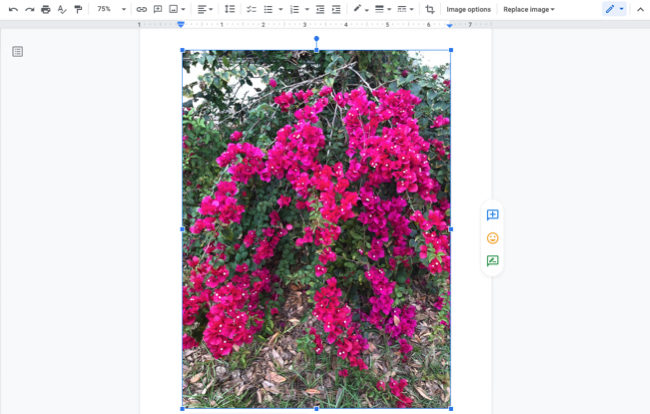 Image inserted in Google Docs