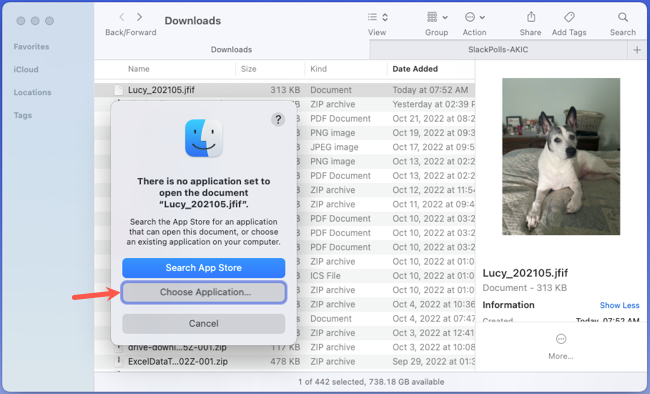 Choose Application in the macOS alert box