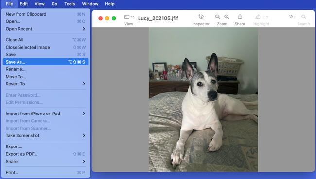 Save As in the Preview File menu