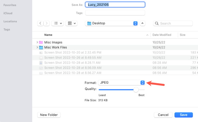 Save As dialog box for Preview on Mac