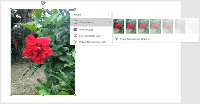 Search for Transparency in PowerPoint