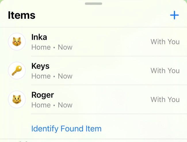 Track items with Apple AirTags