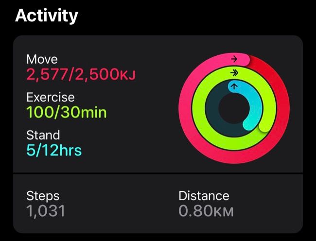 Apple Fitness app activity rings