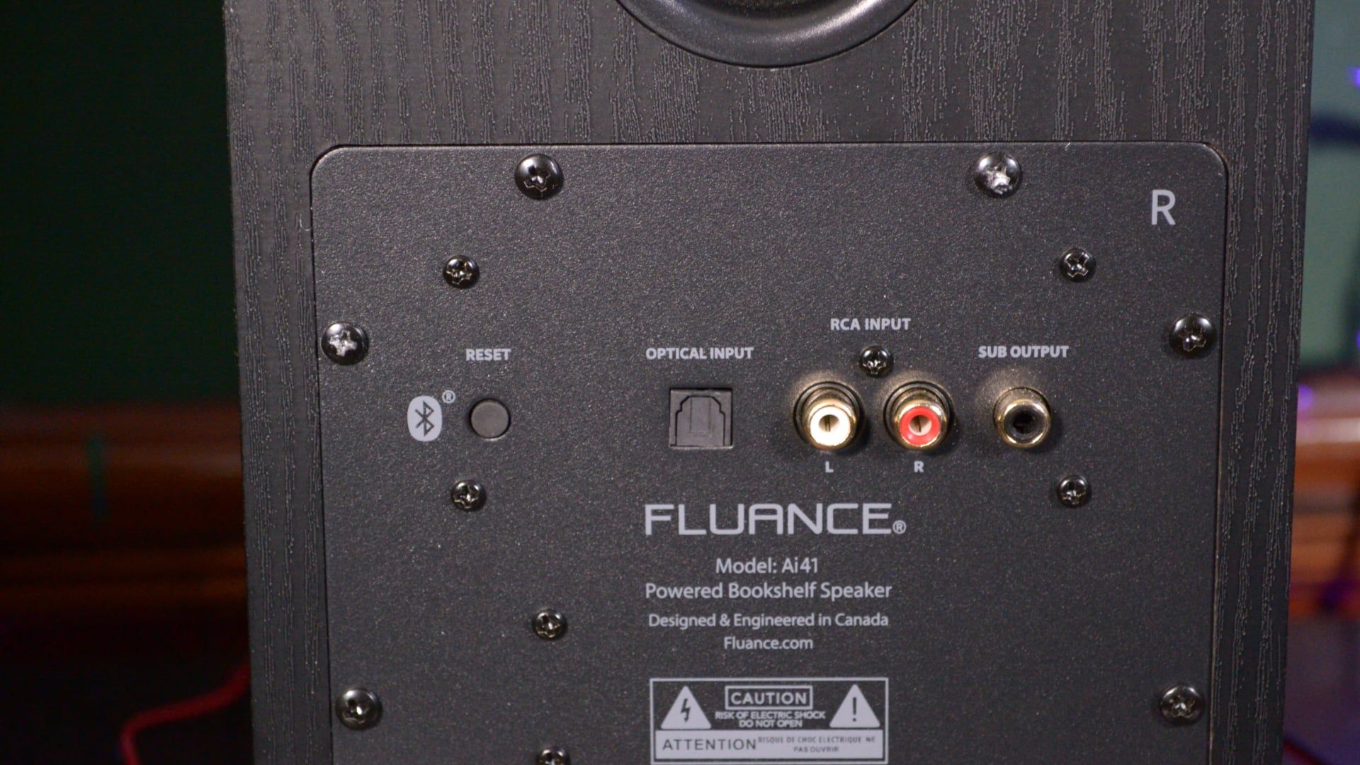 Fluance Ai41 ports for connectivity