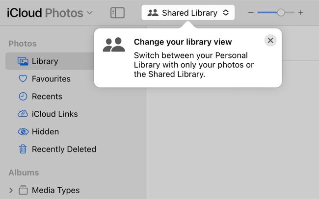 Access Shared Library at iCloud.com