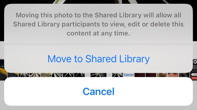 Move photo or video to Shared Library on iPhone