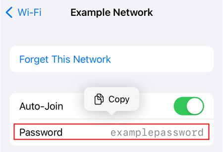 The password for the &quot;Example&quot; network. 