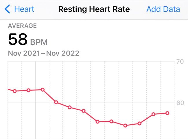 Resting Heart Rate information over a year in Apple Health