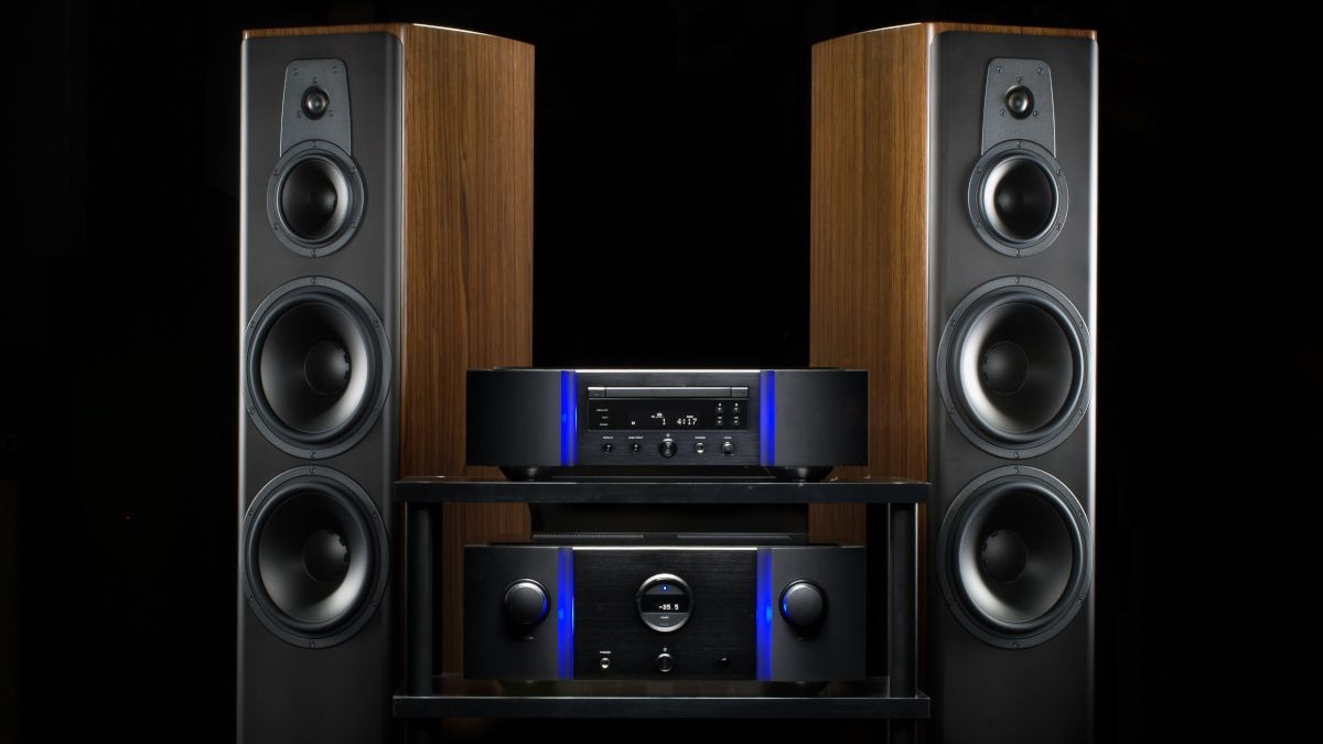A set of luxury home loudspeakers with a wood finish.