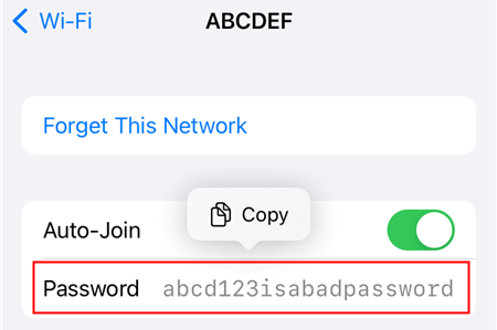 Tap &quot;Password&quot; to display the password of that network. 