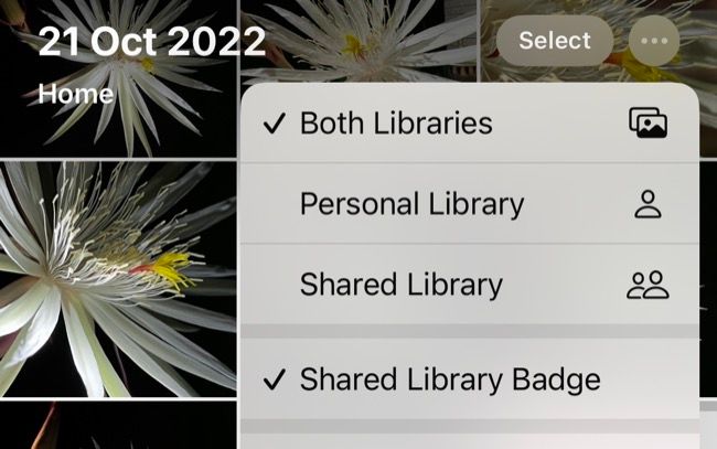 Switch between Personal, Shared, or Both libraries in Photos for iPhone