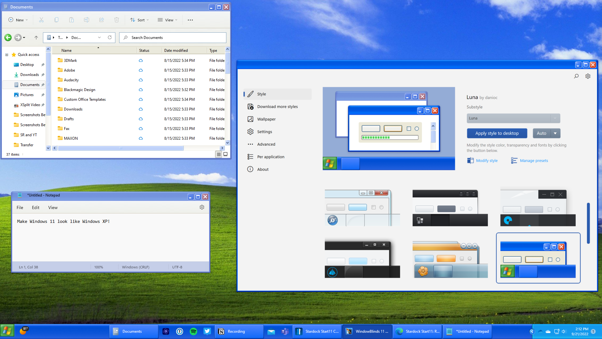 WindowBlinds 11 Beta screenshot