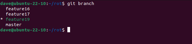 Listing local branches using the git branch command