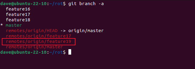 Listing local and remote branches with the git branch -a command