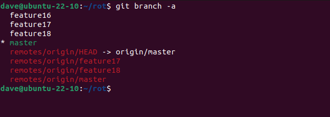 Listing local and remote branches with the git branch -a command