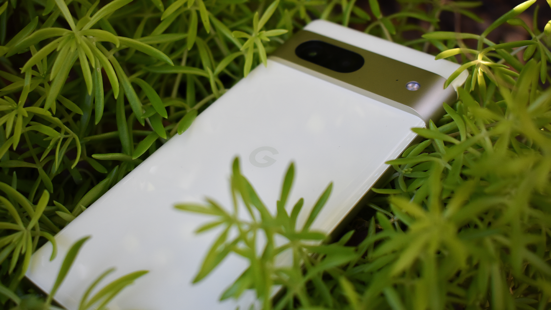 A blurry photo of the Google Pixel 7 in a plush looking, grassy plant.