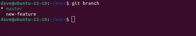 Using the Git branch command to list the branches in the git repository