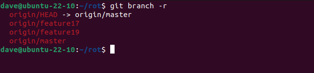 Listing remote branches with the git branch -r command
