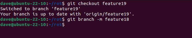Checking out branch "feature19" and renaming it