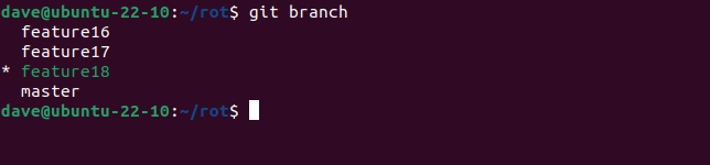 Listing branches to check that branch "feature19" has been renamed to "feature18"