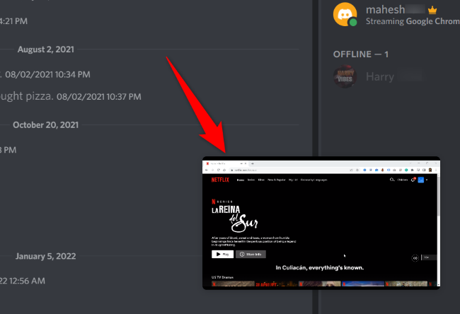 Netflix being streamed on Discord.
