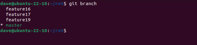 Listing branches to check we're on the master branch