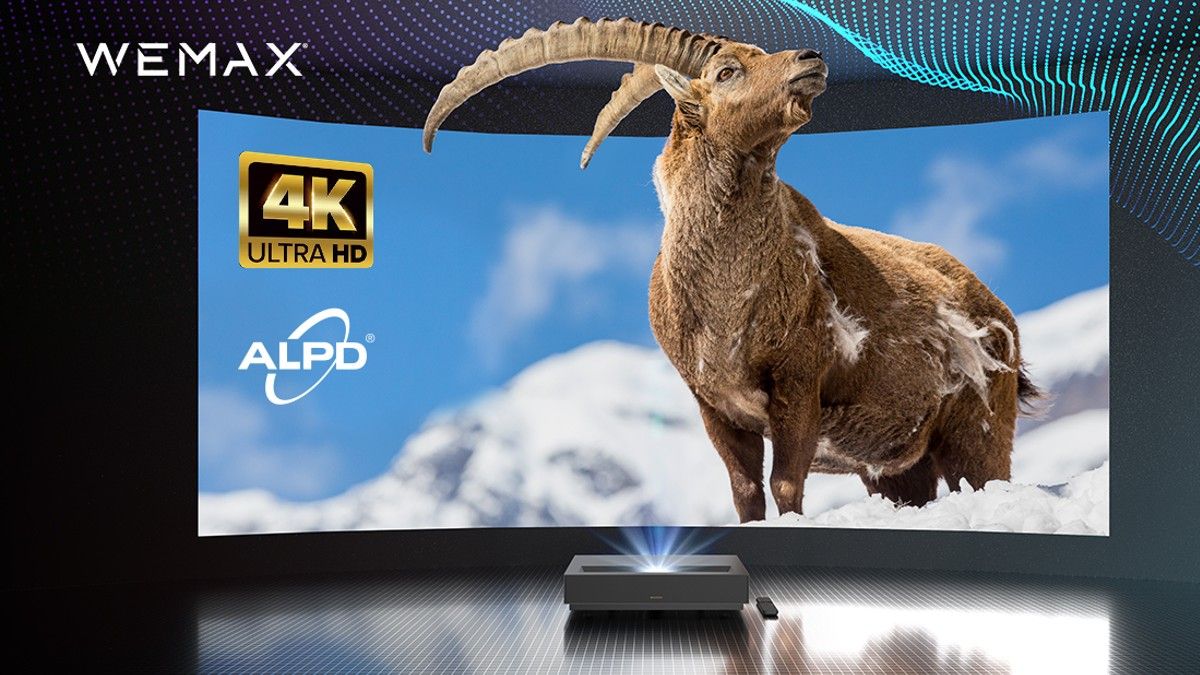 WEMAX Nova 4K UHD projector projecting an image of an Alpine ibex