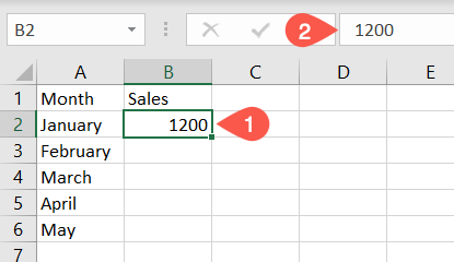 Data entered in a cell and the Formula Bar