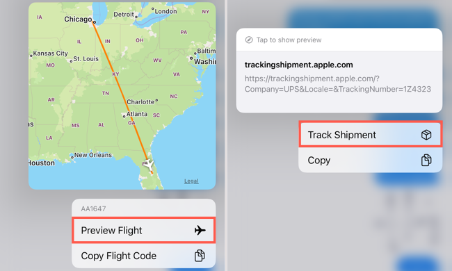 Preview Flight and Track Shipment in Messages