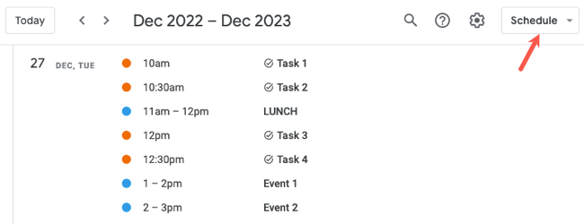 Google Calendar Schedule view