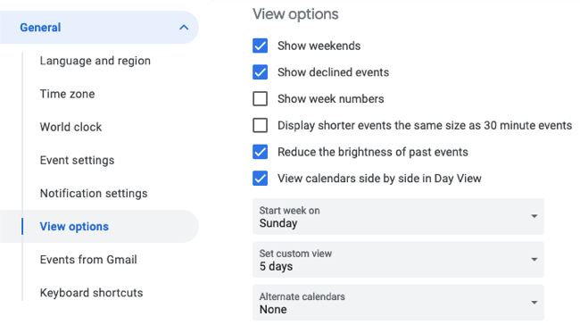 Google Calendar View Options in the settings