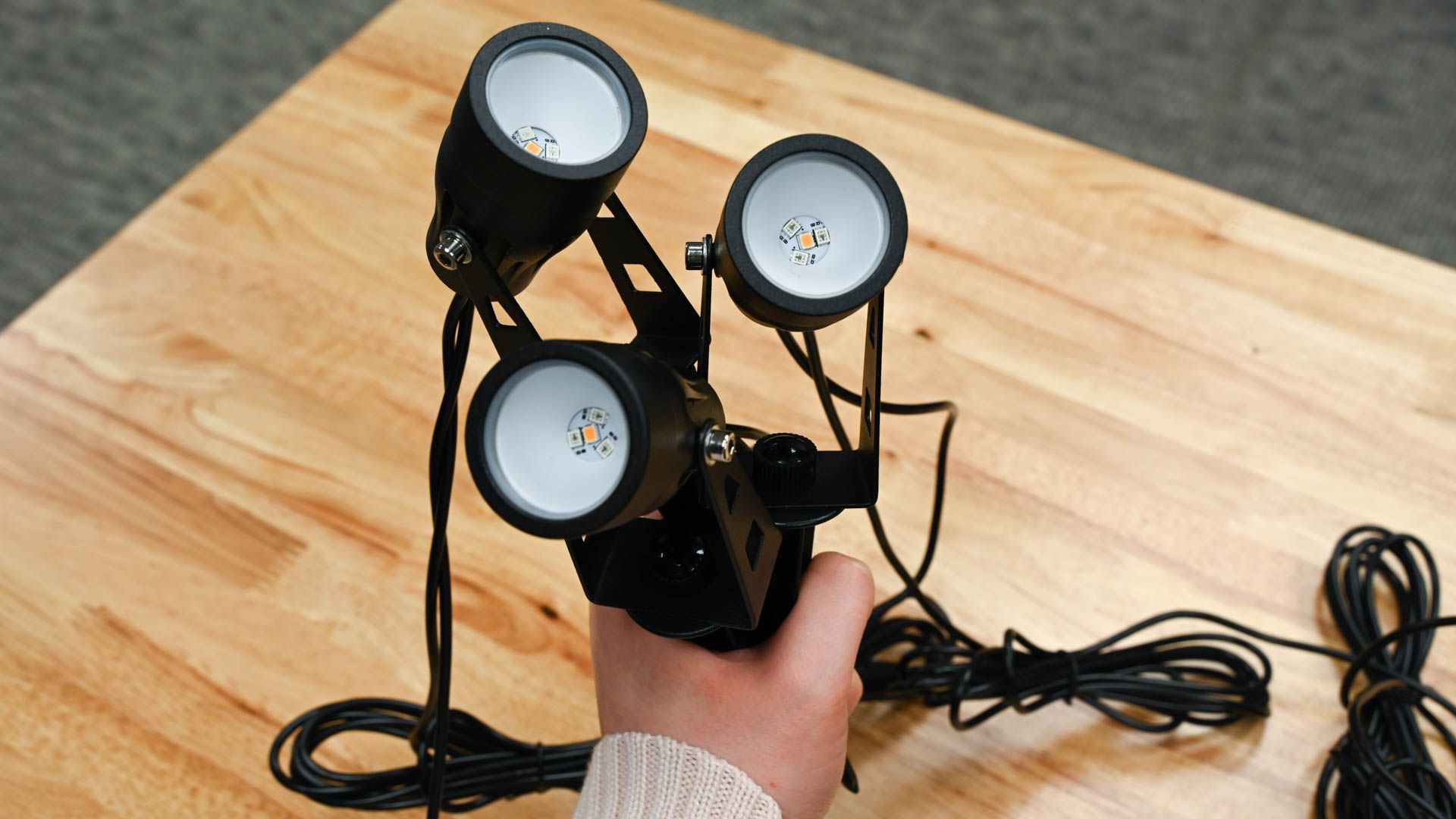 Person holding Lumary Smart LED Outdoor Landscape Lights