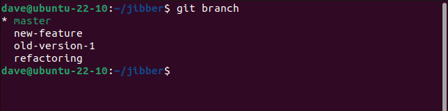 Listing local branches with the git branch command