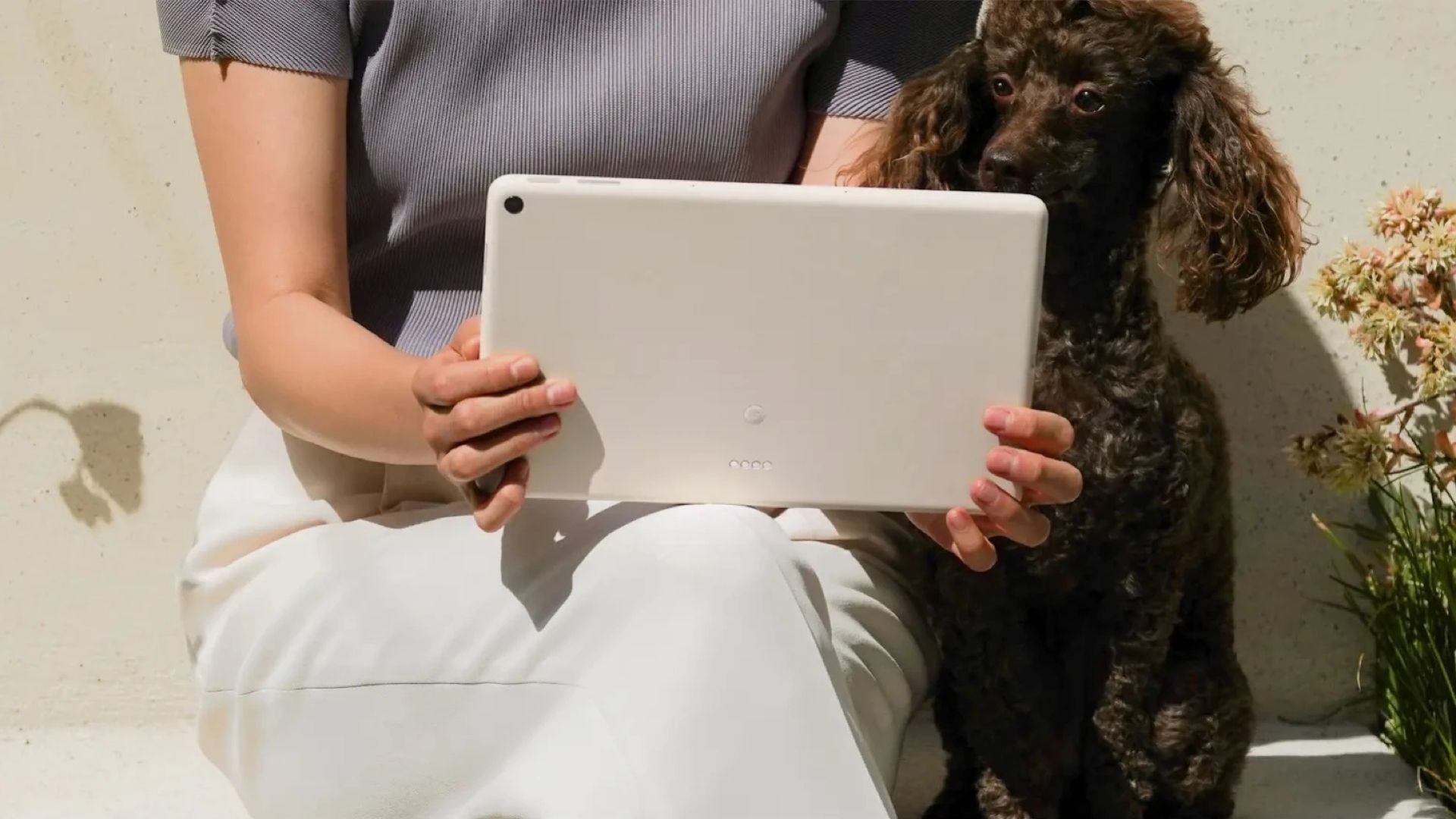 Pixel-tablet-image