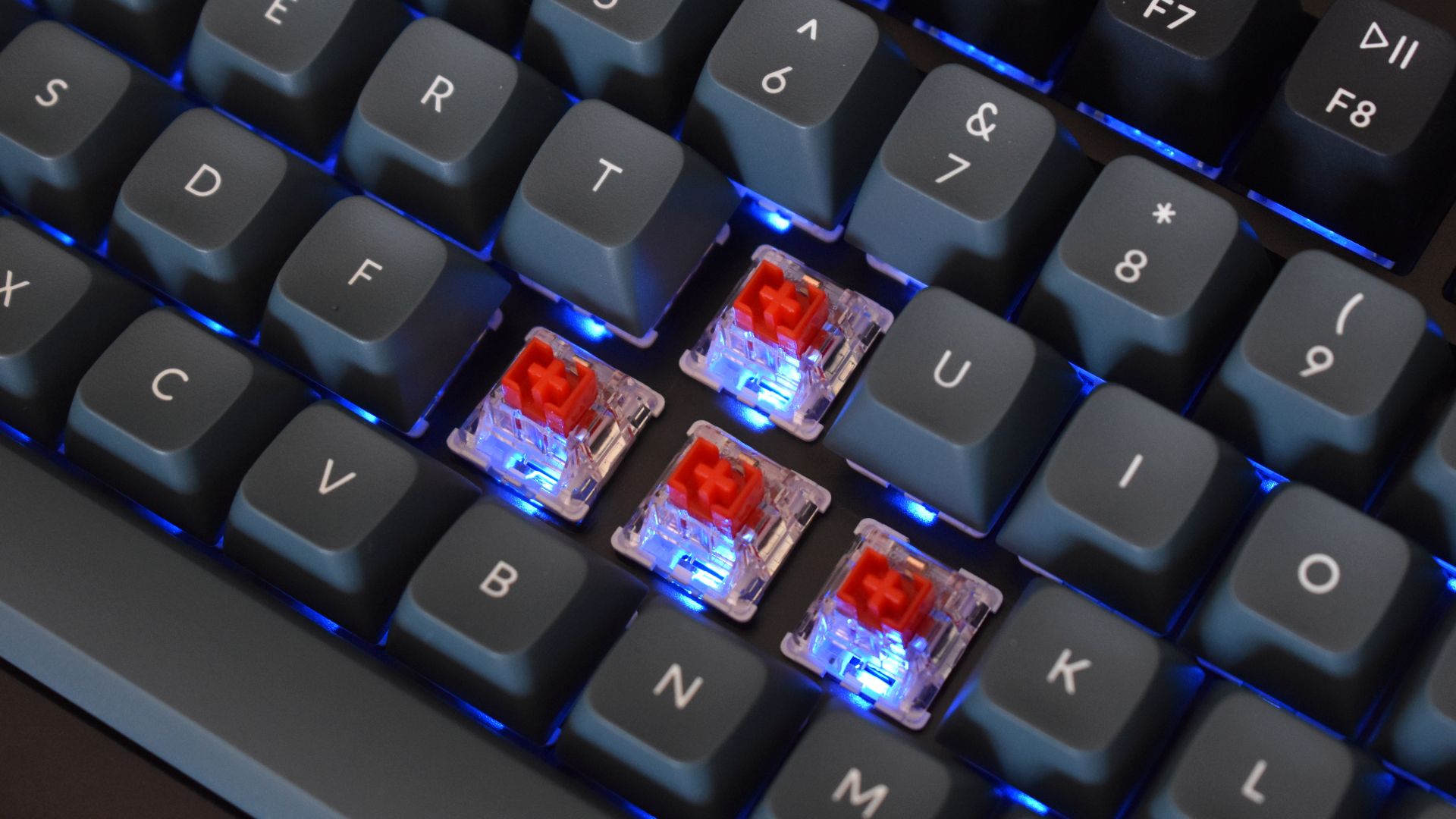 Pre-lubed Keychron K Pro Red switches with the keycaps removed.