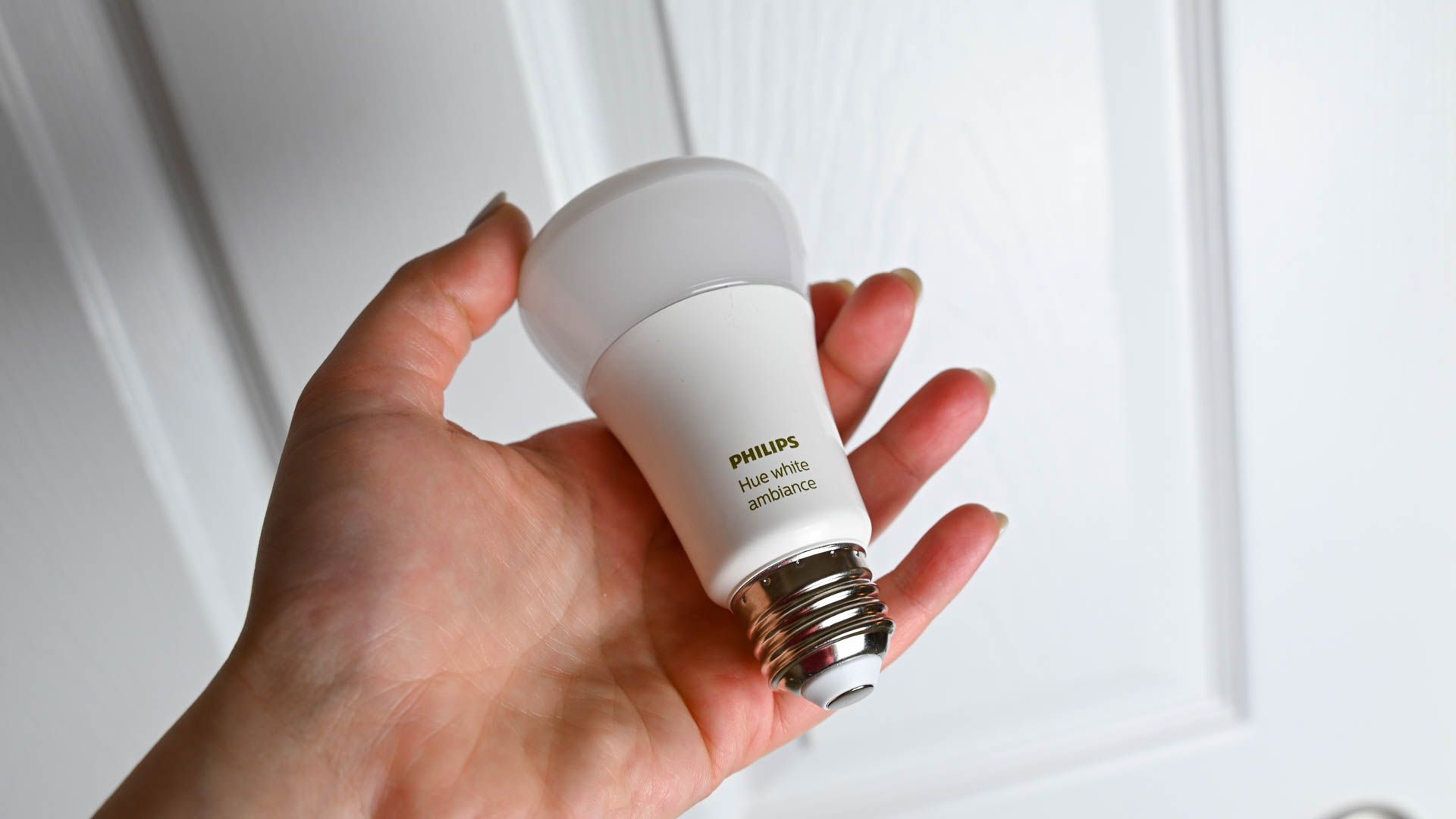 Person holding a Philips Hue bulb