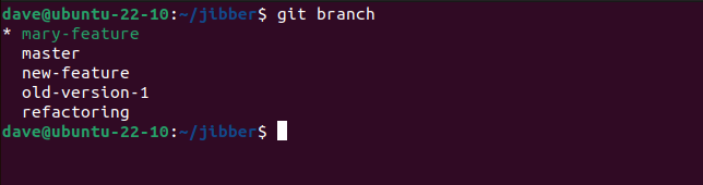Listing local branches with the git branch command, with the newly created copy of the remote branch selected as the current branch