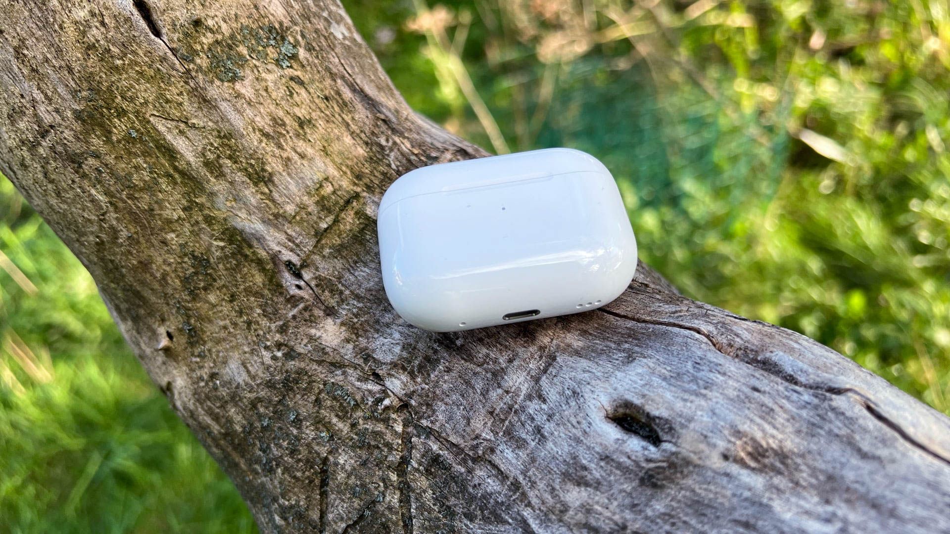 Apple AirPods Pro 2 case in tree