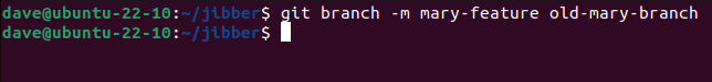 Renaming a branch with the git branch -m command
