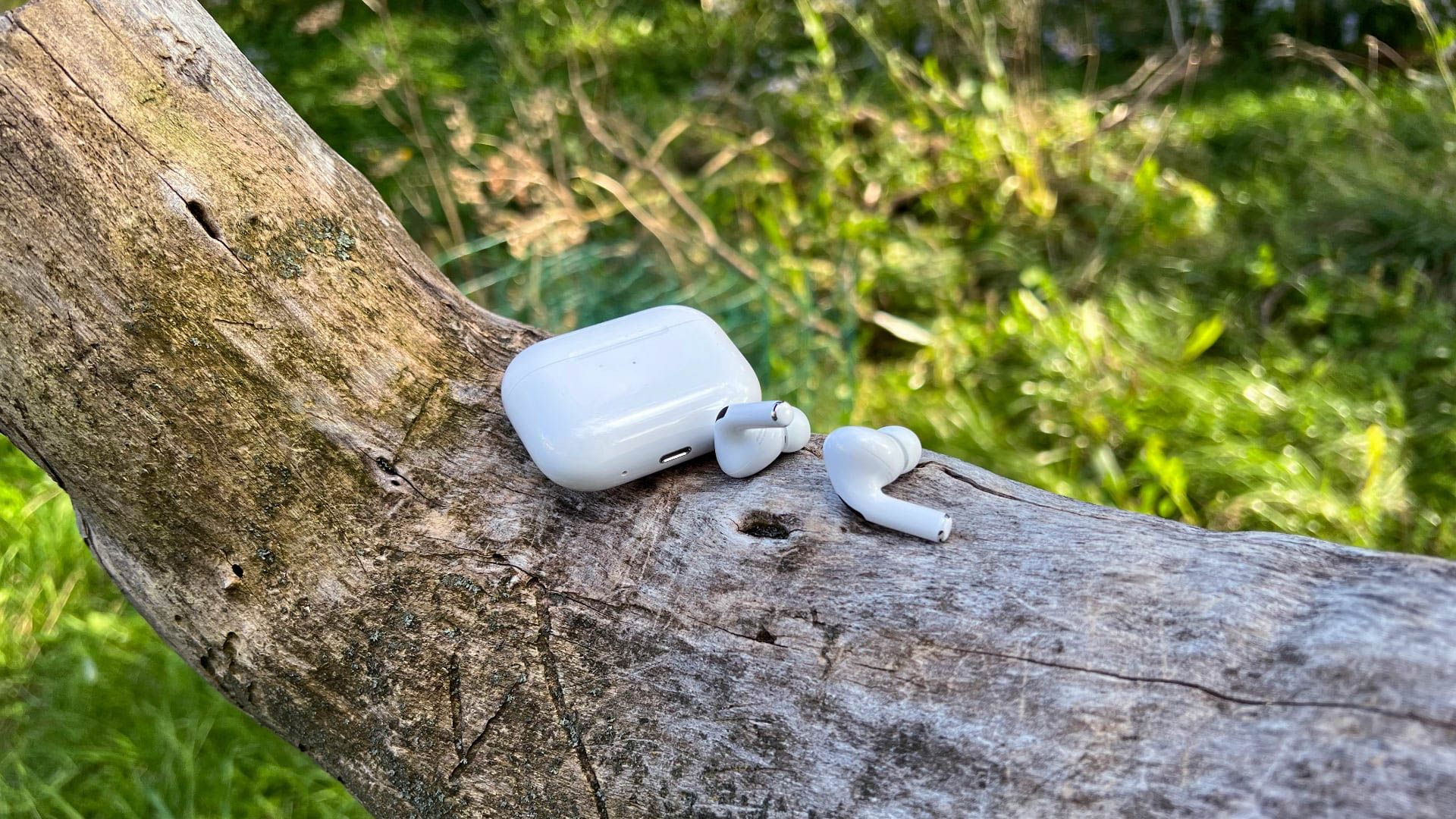 Apple AirPods Pro in tree out of case