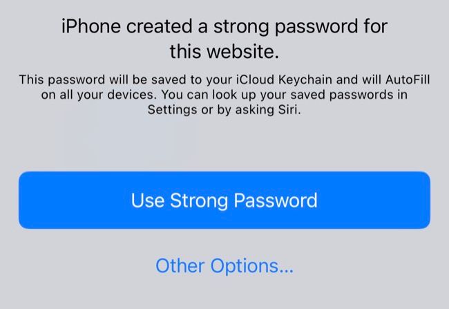 Use iPhone suggested strong password