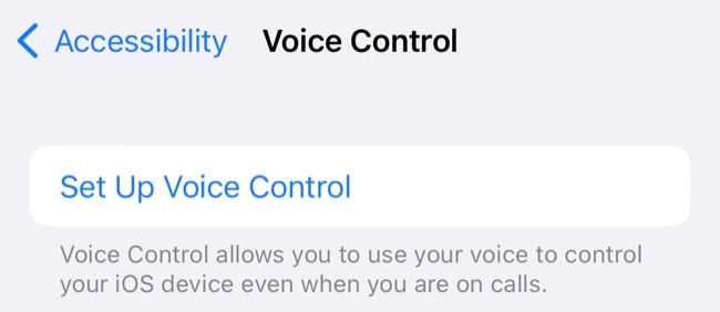 Set up Voice Control on iPhone