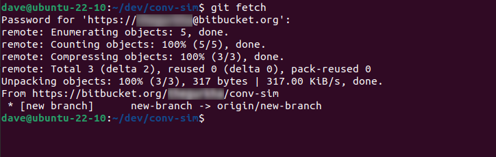 Using the git fetch command on the default remote repository