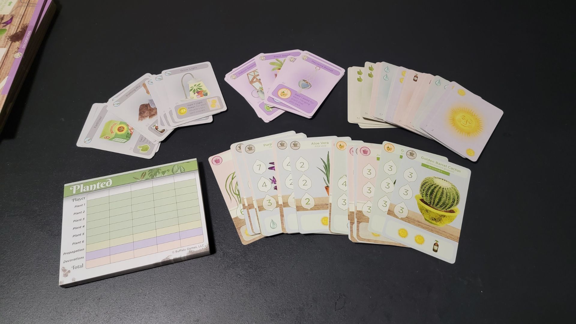 Planted board game playing cards and score pad