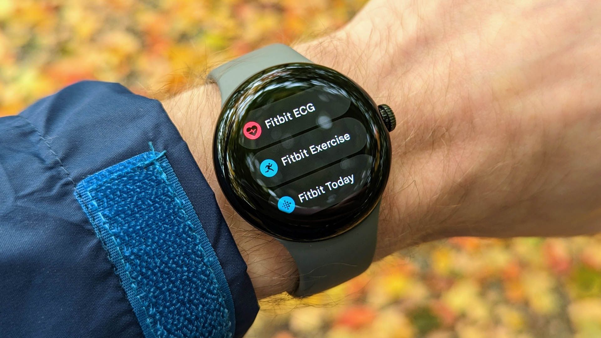Fitbit apps on the Google Pixel Watch