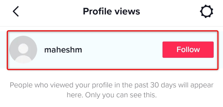 View TikTok profile visitors.