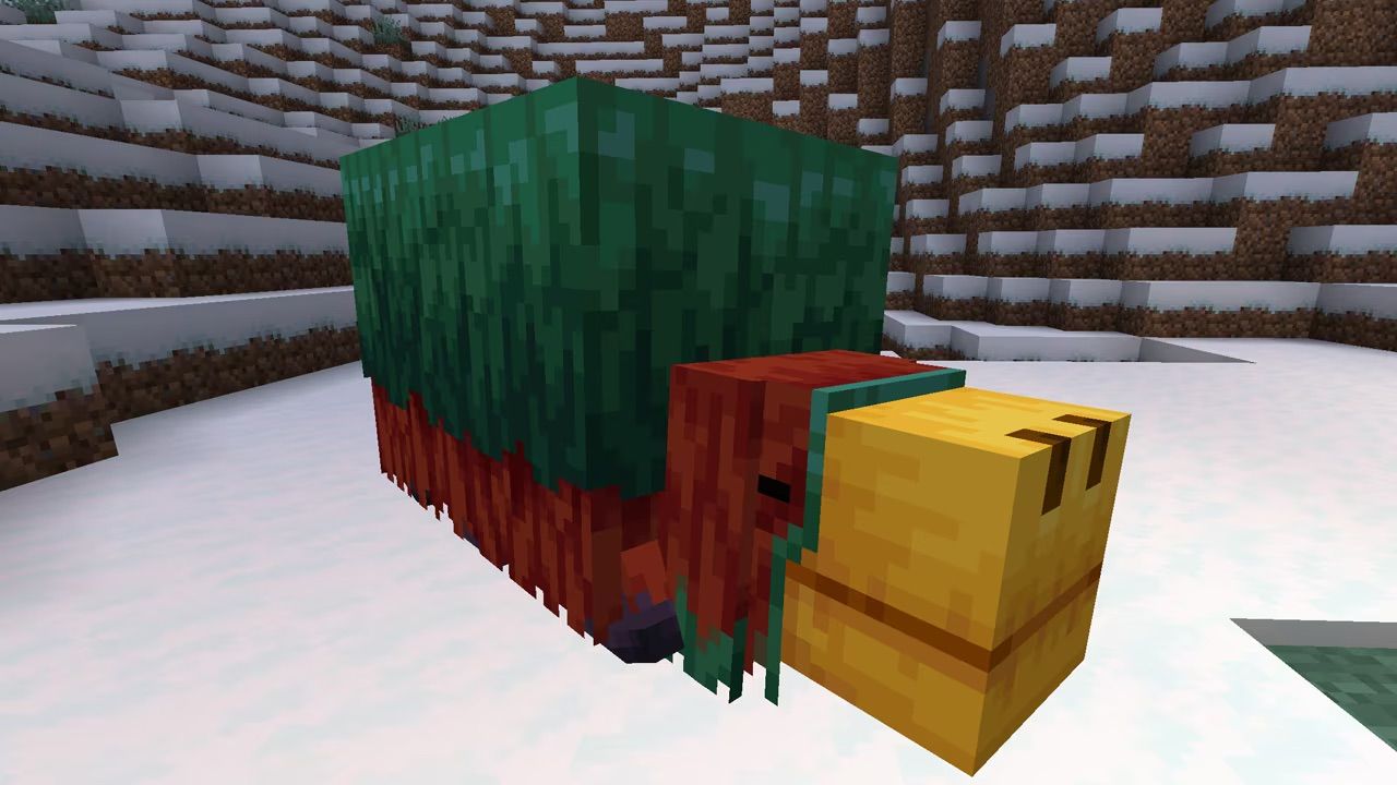 Meet the New Faces: New Mobs in Minecraft 1.20 - Minecraft Blog