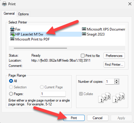 Choose printer settings and click &quot;Print.&quot;